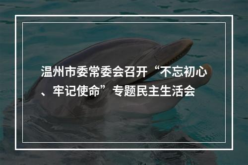 温州市委常委会召开“不忘初心、牢记使命”专题民主生活会