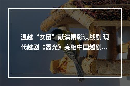 温越“女团”献演精彩谍战剧 现代越剧《霞光》亮相中国越剧节