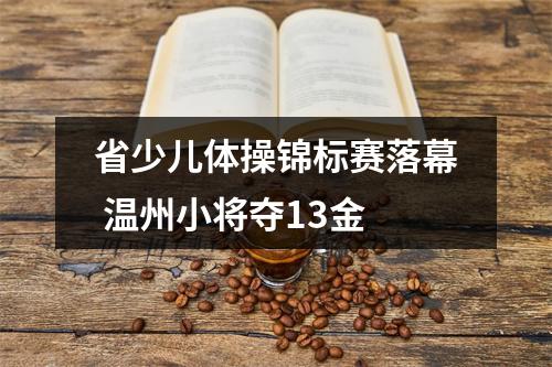 省少儿体操锦标赛落幕 温州小将夺13金