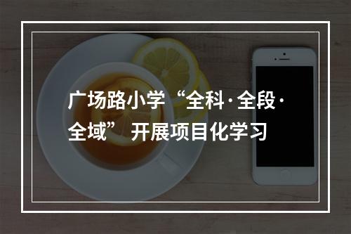 广场路小学“全科·全段·全域” 开展项目化学习