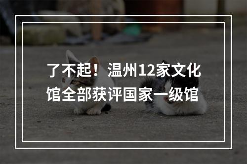 了不起！温州12家文化馆全部获评国家一级馆