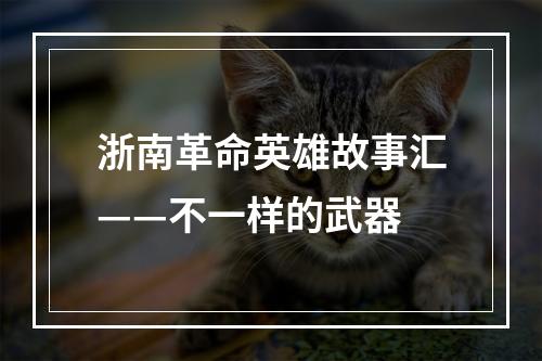 浙南革命英雄故事汇——不一样的武器