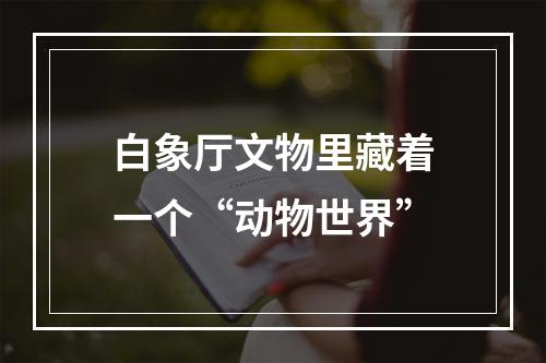 白象厅文物里藏着一个“动物世界”