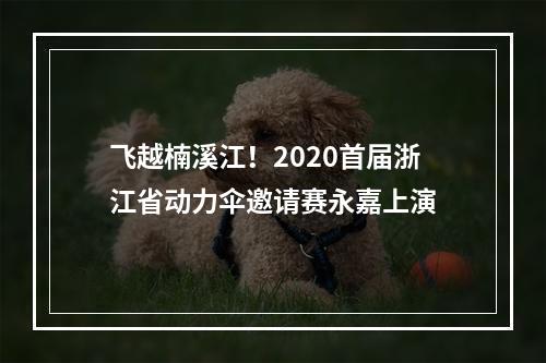 飞越楠溪江！2020首届浙江省动力伞邀请赛永嘉上演