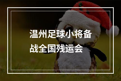 温州足球小将备战全国残运会