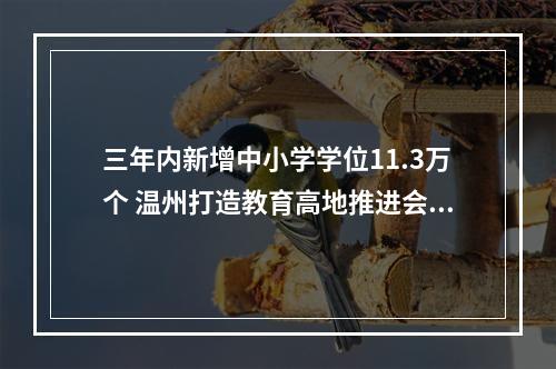 三年内新增中小学学位11.3万个 温州打造教育高地推进会举行