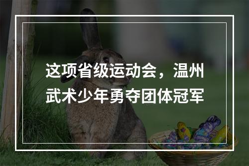 这项省级运动会，温州武术少年勇夺团体冠军
