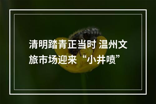 清明踏青正当时 温州文旅市场迎来“小井喷”