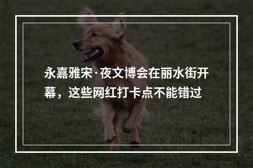 永嘉雅宋·夜文博会在丽水街开幕，这些网红打卡点不能错过