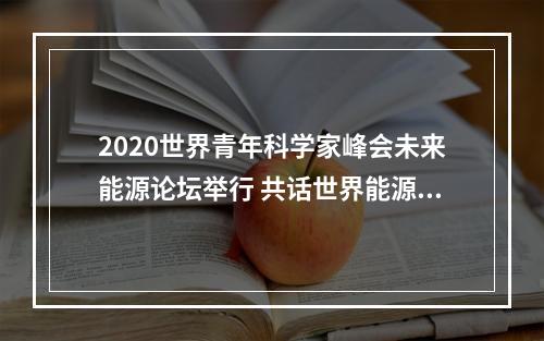 2020世界青年科学家峰会未来能源论坛举行 共话世界能源转型下的电力可持续发展