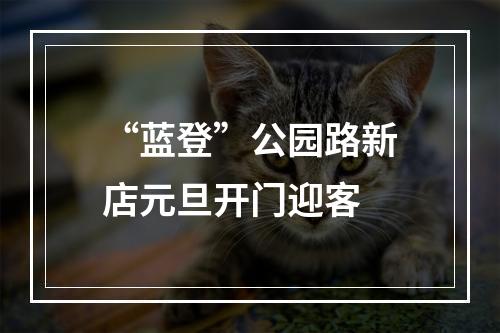 “蓝登”公园路新店元旦开门迎客