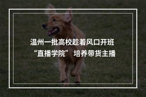 温州一批高校趁着风口开班 “直播学院” 培养带货主播