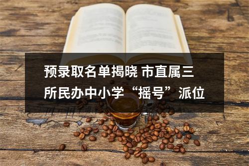 预录取名单揭晓 市直属三所民办中小学“摇号”派位