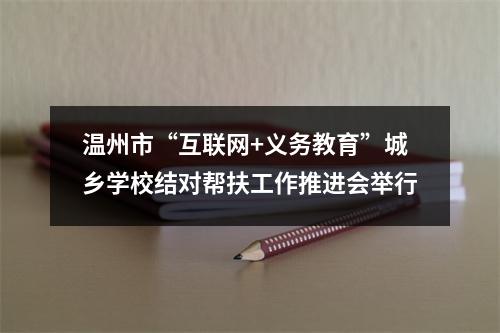 温州市“互联网+义务教育”城乡学校结对帮扶工作推进会举行