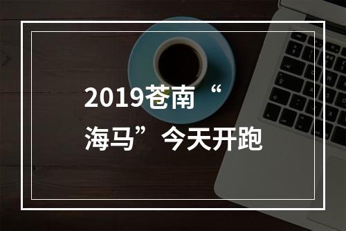 2019苍南“海马”今天开跑