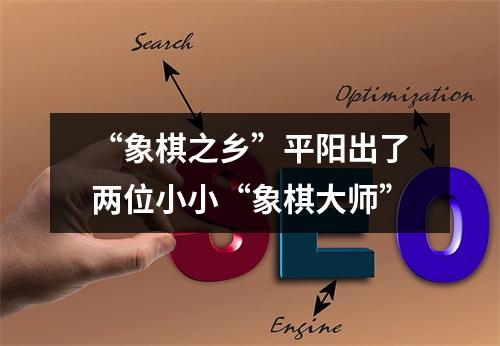 “象棋之乡”平阳出了两位小小“象棋大师”