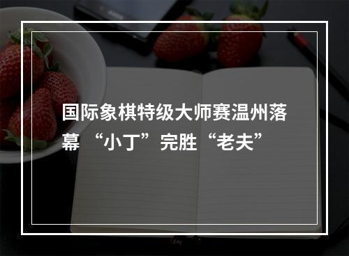 国际象棋特级大师赛温州落幕 “小丁”完胜“老夫”