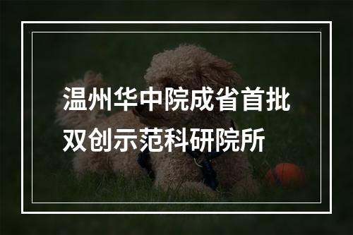温州华中院成省首批双创示范科研院所