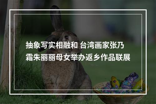 抽象写实相融和 台湾画家张乃霜朱丽丽母女举办返乡作品联展