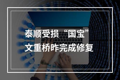 泰顺受损“国宝” 文重桥昨完成修复