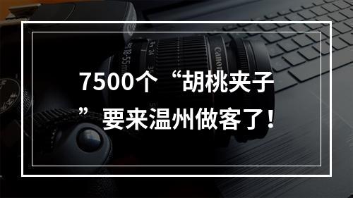7500个“胡桃夹子”要来温州做客了！