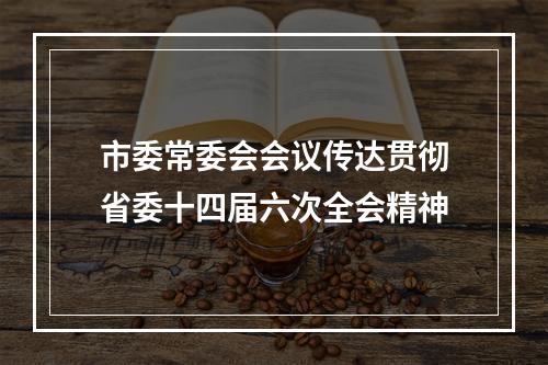市委常委会会议传达贯彻省委十四届六次全会精神