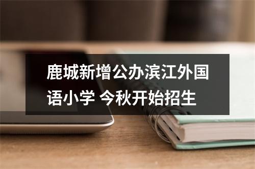 鹿城新增公办滨江外国语小学 今秋开始招生