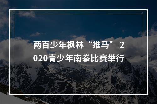 两百少年枫林“推马” 2020青少年南拳比赛举行