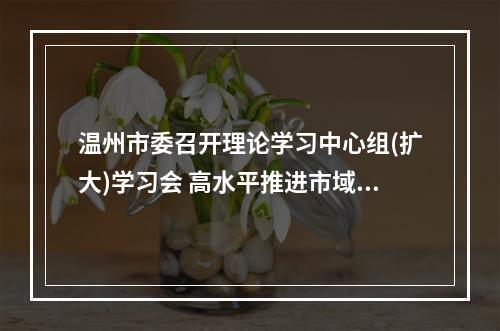 温州市委召开理论学习中心组(扩大)学习会 高水平推进市域社会治理现代化