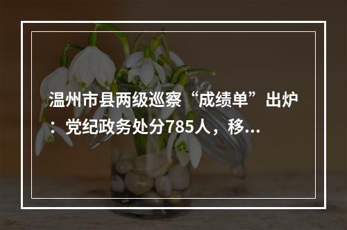 温州市县两级巡察“成绩单”出炉：党纪政务处分785人，移送司法机关124人