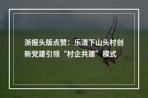 浙报头版点赞：乐清下山头村创新党建引领“村企共建”模式