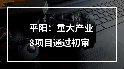 平阳：重大产业 8项目通过初审