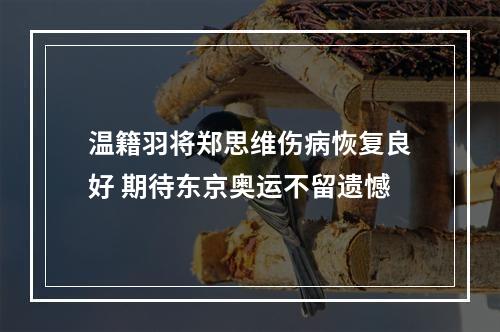 温籍羽将郑思维伤病恢复良好 期待东京奥运不留遗憾