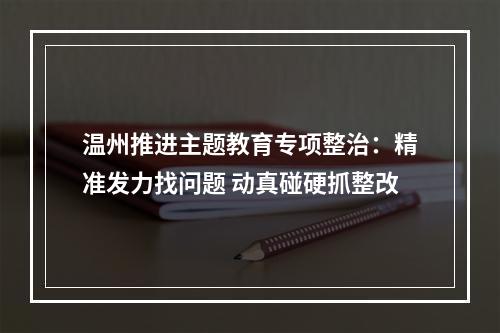 温州推进主题教育专项整治：精准发力找问题 动真碰硬抓整改