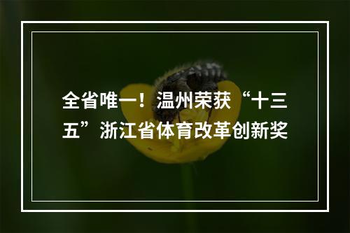 全省唯一！温州荣获“十三五”浙江省体育改革创新奖