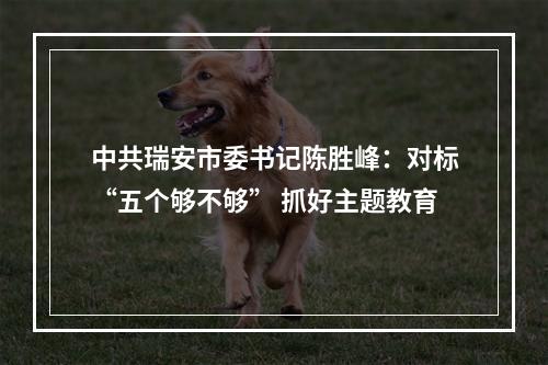 中共瑞安市委书记陈胜峰：对标“五个够不够” 抓好主题教育