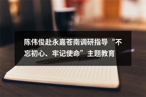 陈伟俊赴永嘉苍南调研指导“不忘初心、牢记使命”主题教育