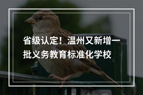 省级认定！温州又新增一批义务教育标准化学校