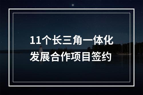 11个长三角一体化发展合作项目签约