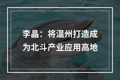 李晶：将温州打造成为北斗产业应用高地