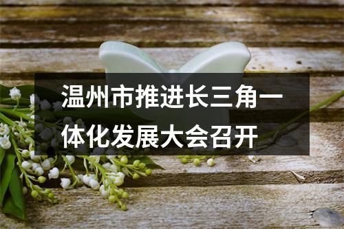 温州市推进长三角一体化发展大会召开
