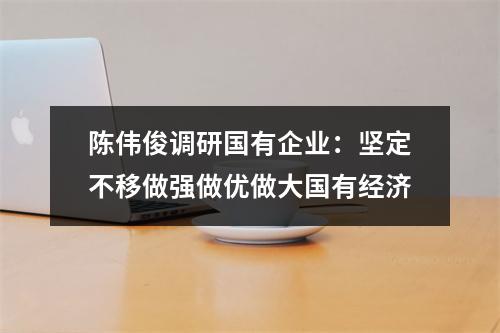 陈伟俊调研国有企业：坚定不移做强做优做大国有经济