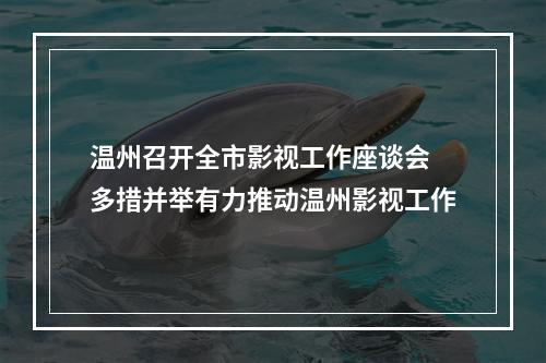 温州召开全市影视工作座谈会 多措并举有力推动温州影视工作