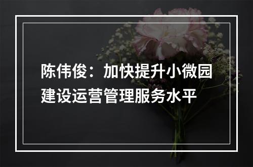陈伟俊：加快提升小微园建设运营管理服务水平