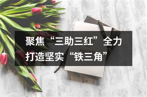 聚焦“三助三红”全力打造坚实“铁三角”