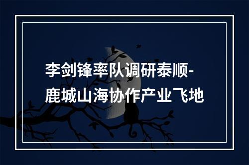 李剑锋率队调研泰顺-鹿城山海协作产业飞地