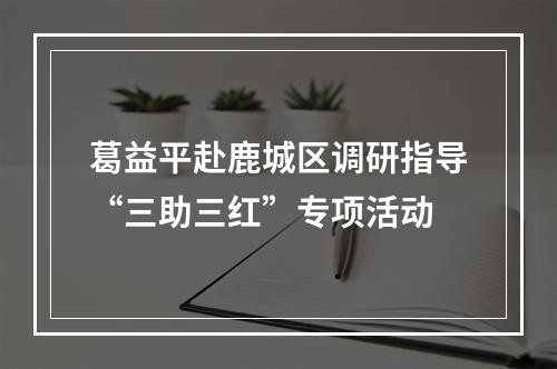 葛益平赴鹿城区调研指导“三助三红”专项活动