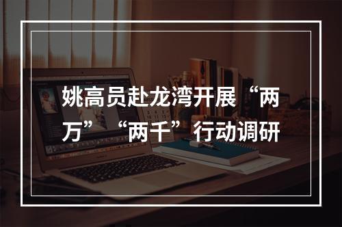 姚高员赴龙湾开展“两万”“两千”行动调研