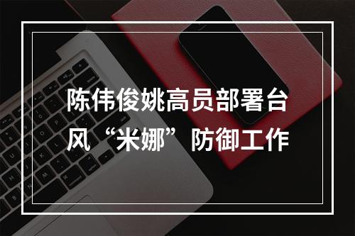 陈伟俊姚高员部署台风“米娜”防御工作
