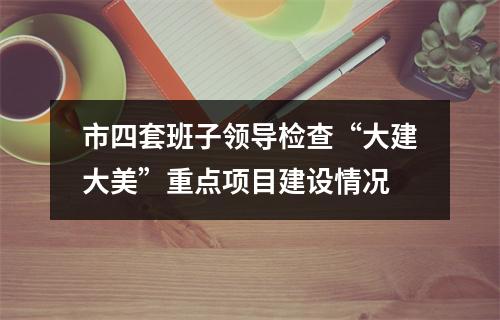 市四套班子领导检查“大建大美”重点项目建设情况